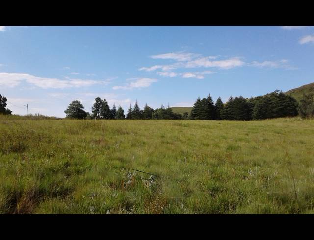 4,673M² VACANT LAND FOR SALE IN UNDERBERG